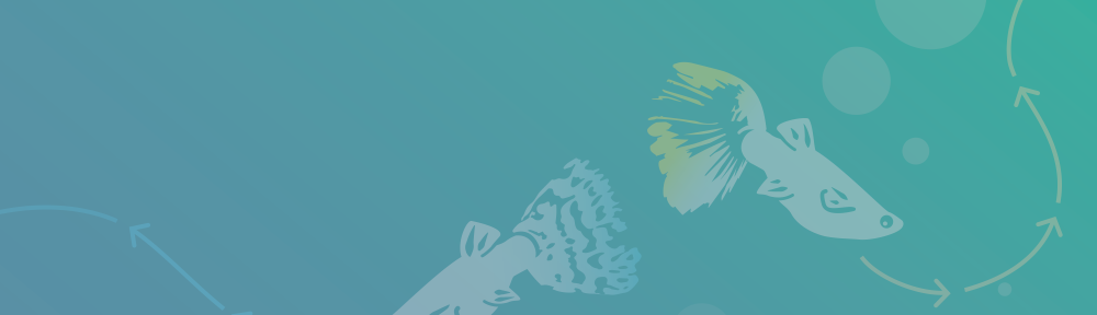 blog post cover image-01