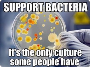 ifls-bacteria